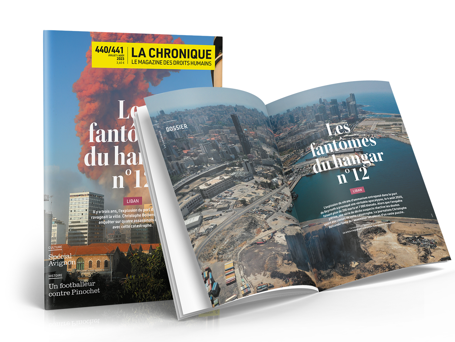 visuel composite chronique été 2023