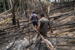 Une patrouille indigène découvre des zones récemment brûlées et une cabane mise en place par des envahisseurs - probablement des grileiros, des travailleurs conduisant des saisies illégales de terres, la déforestation et le brûlage - dans le territoire indigène d'Uru Eu Wau Wau, dans l'État de Rondônia, au Brésil, en septembre 2019.