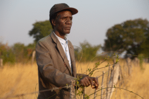 Populations pastorales dans la province de Huîla © BwalaMidia