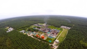 Vue aérienne de l'usine d'huile de palme Perkenunan Milano appartenant à Wilmar International
