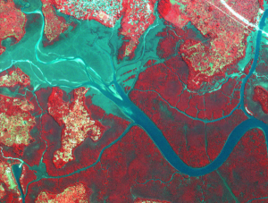 "Decode Nigeria" avec ce type de projet, toute personne peut contribuer à des recherches essentielles sur les atteintes aux droits humains