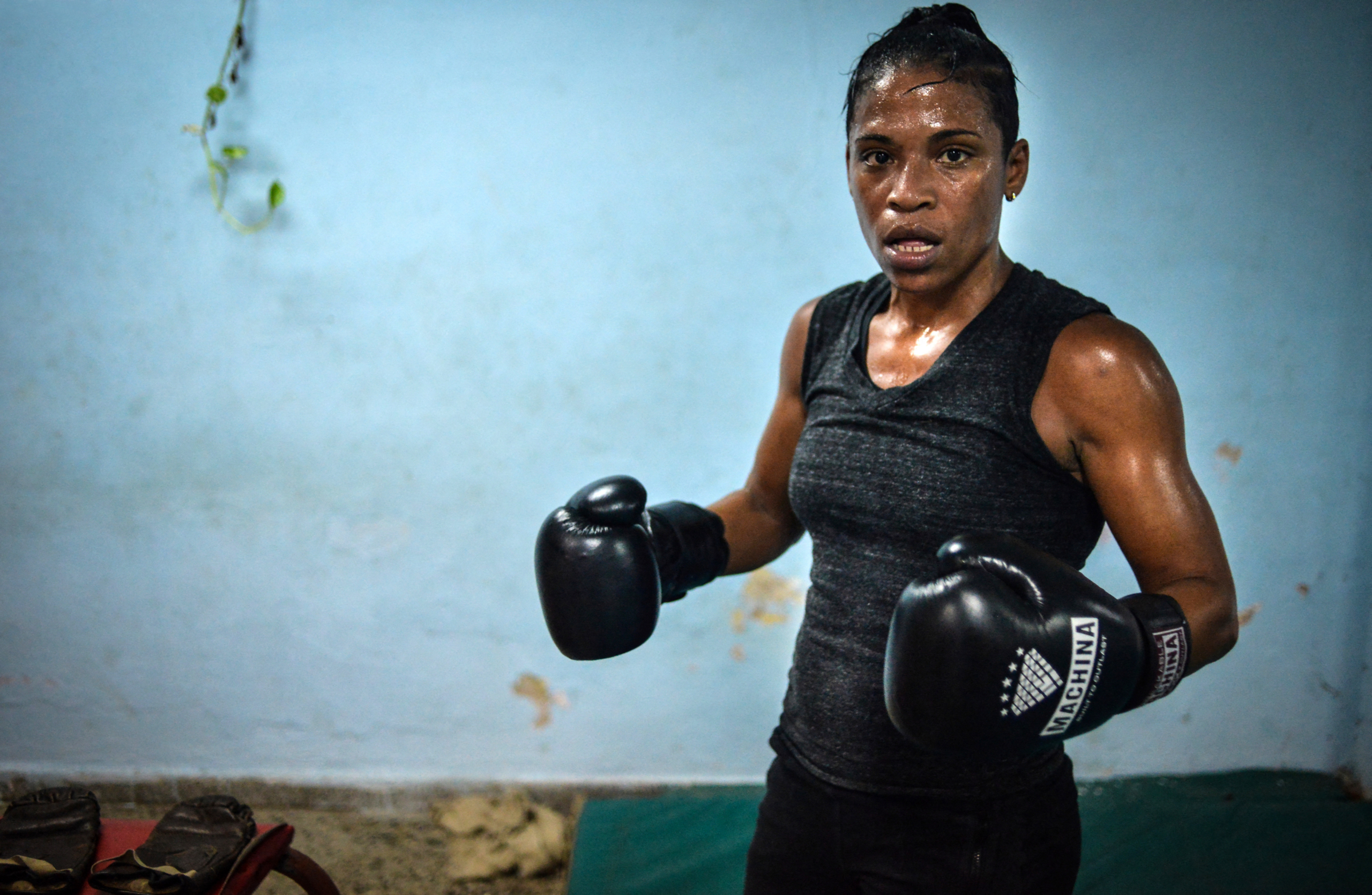 15 juin 2015 Namibia Flores © Adalberto Roque/AFP
