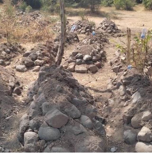 Éthiopie : exécutions sommaires, viols et pillages des forces tigréennes en région Amhara (EN)