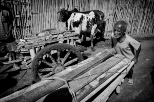 Amnesty International France - Madagascar
Le sud de Madagascar est en crise. La région sud du pays, communément appelée Le Grand Sud, connaît actuellement la pire sécheresse depuis 40 ans. Plus d'un million de personnes sont au bord de la famine
