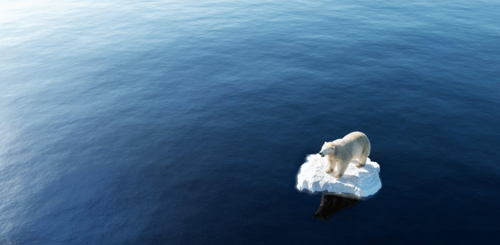 Météo, climat et dérèglement climatique