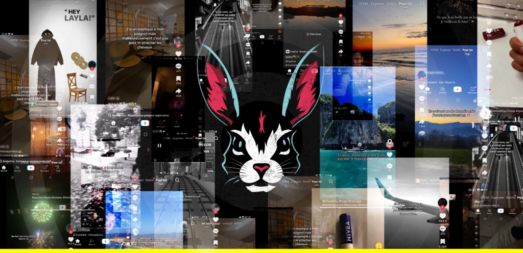 Plongée dans l’algorithme de TikTok France : nos révélations