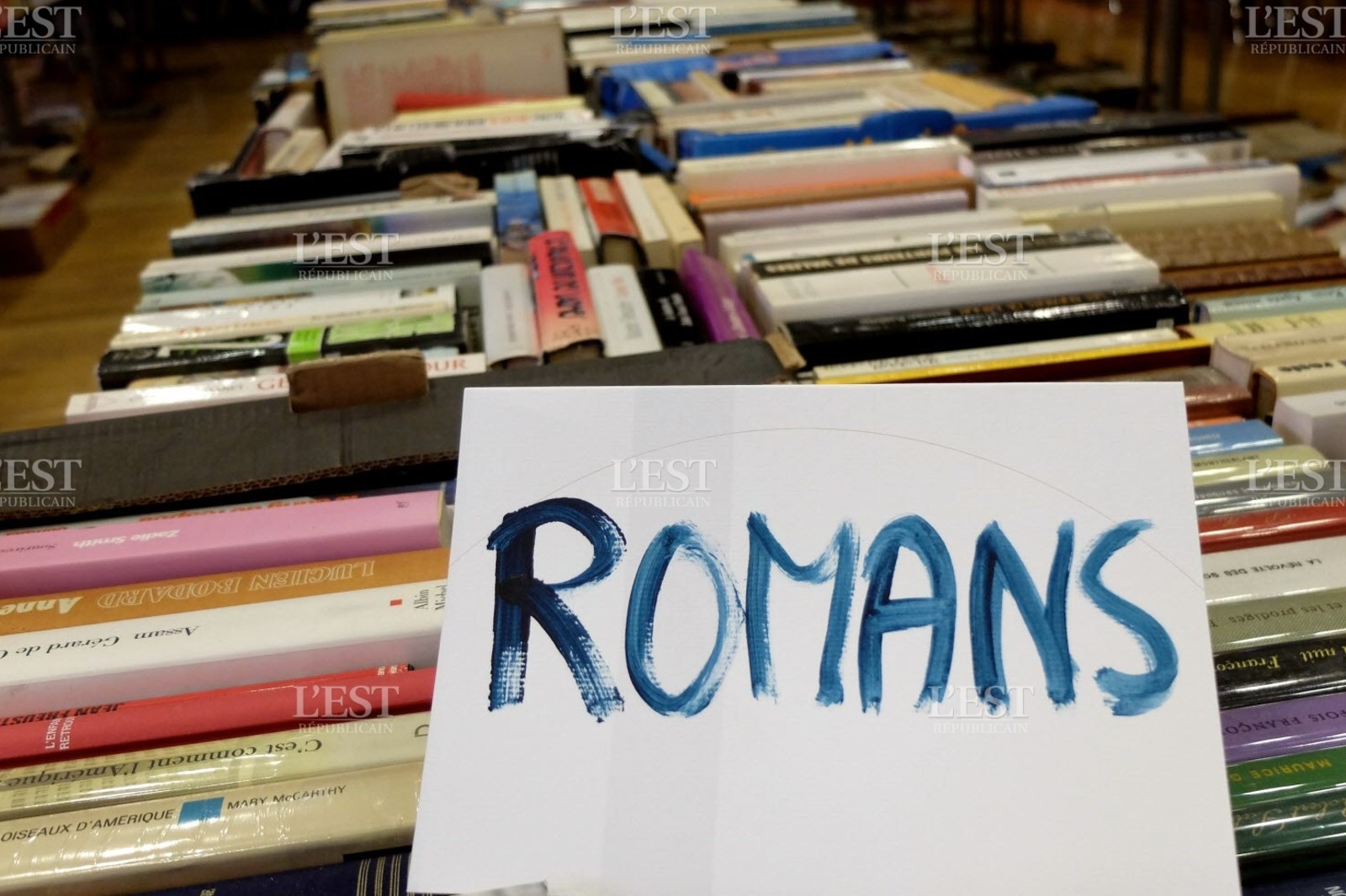 Foire aux livres à Lisieux