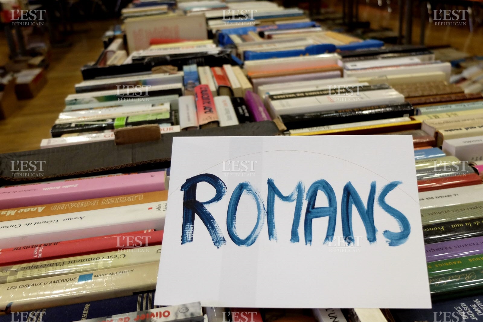 Foire aux livres à Lisieux
