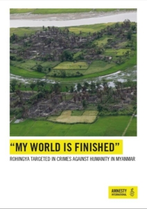 My World Is Finished': Rohingya Targeted in Crimes against Humanity in Myanmar